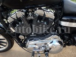     Harley Davidson XL1200L-I Sportster1200 2011  13